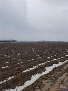 Teren extravilan Careiului - foto 6