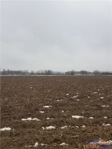 Teren extravilan Careiului - foto 7