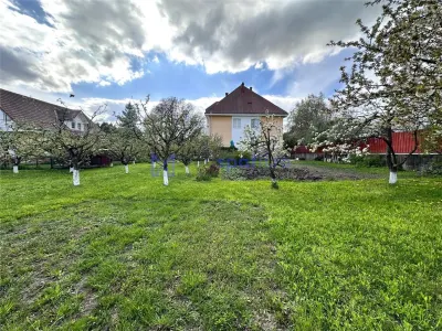 Vila Targu Neamt, Veniamin Costache, 642mp - foto 6
