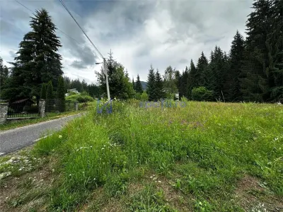 Teren in Statiunea Durau, Ceahlau, 1046mp, str. Stejarului - foto 12
