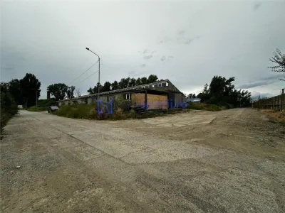 Hale de inchiriat in Tomesti, la str. Plopilor, de la 324mp la 2000mp - foto 2