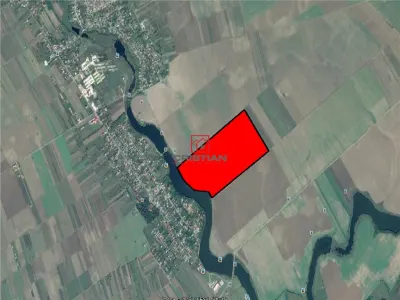 Vanzare teren Frumusani - DN4, Calarasi - Frumusani