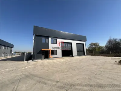 Vanzare depozit/hala/spatiu industrial Chitila - Centura - Rudeni - foto 4
