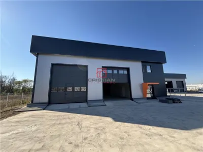 Vanzare depozit/hala/spatiu industrial Chitila - Centura - Rudeni - foto 7