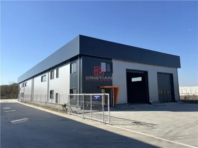 Vanzare depozit/hala/spatiu industrial Chitila - Centura - Rudeni - foto 9