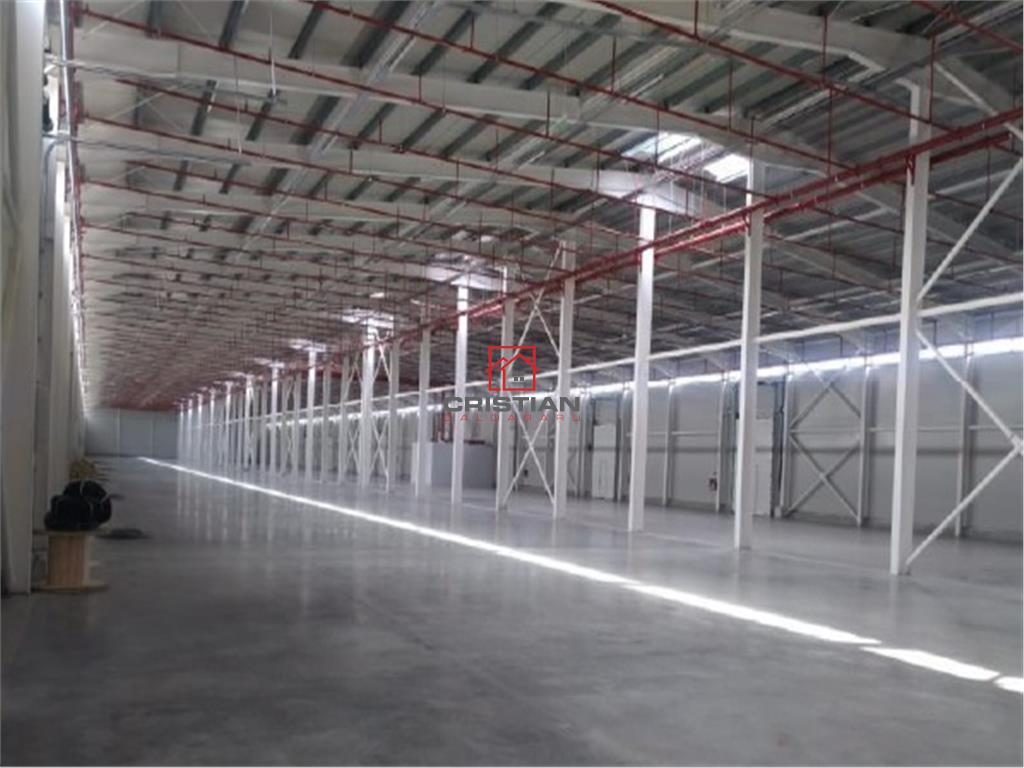 Inchiriere depozit/hala/spatiu industrial Theodor Pallady - Drumul Intre Tarlale - Oxigenului - Bucuresti