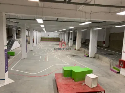 Inchiriere depozit/hala/spatiu industrial Politehnica - Apaca - foto 10