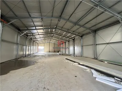 Inchiriere depozit/hala/spatiu industrial/parc logistic Jilava - Giurgiului - foto 13