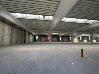Vanzare depozit/spatiu industrial/hala Chitila - Rudeni, ILFOV - foto 9