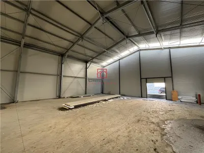 Inchiriere depozit/hala/spatiu industrial Jilava - Giurgiului - foto 13