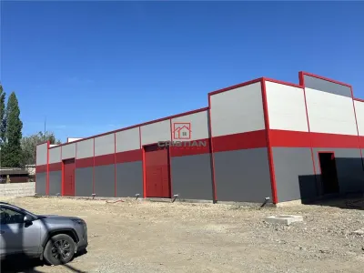 Inchiriere depozit/hala/spatiu industrial Jilava - Giurgiului - foto 8