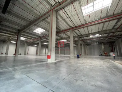 Inchiriere depozit/hala/spatiu industrial Cernica - A2- A0 -Manolache - foto 15