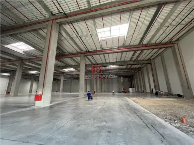 Inchiriere depozit/hala/spatiu industrial Cernica - A2- A0 -Manolache - foto 16