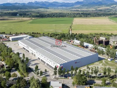 Inchiriere spatiu industrial/depozit/hala Deva, Hunedoara - foto 9