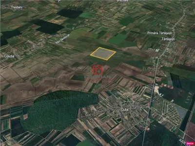 Vanzare teren agricol Tartasesti - Gulia, Dambovita - Tartasesti