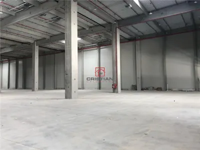 Inchiriere depozit/hala/spatiu industrial Bolintin Deal - A1 - KM23 - foto 10