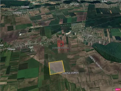 Vanzare teren agricol extravilan Tartasesti - Gulia, Dambovita - foto 4