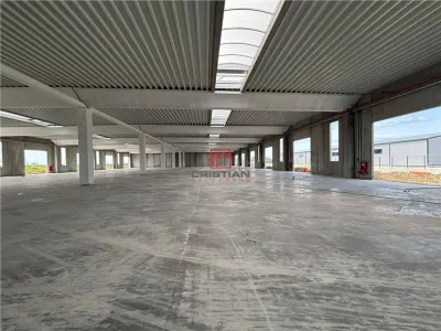 Vanzare depozit/spatiu industrial/hala Chitila - Rudeni, ILFOV - foto 15