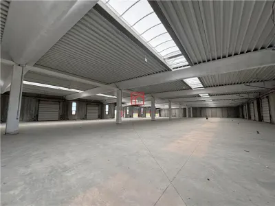 Vanzare depozit/spatiu industrial/hala Chitila - Rudeni, ILFOV - foto 7