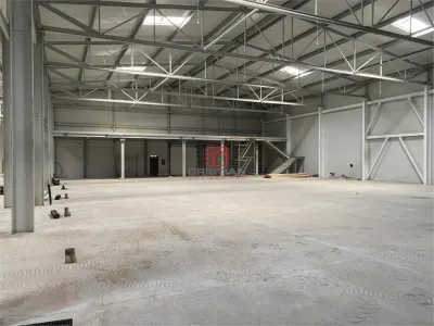 Vanzare depozit/hala/spatiu industrial Otopeni - Centura, Ilfov - foto 6