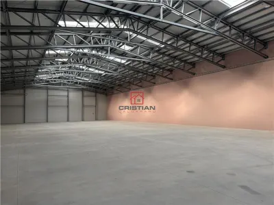Inchiriere depozit/hala/spatiu industrial Buftea - Tamasi, Ilfov - foto 2