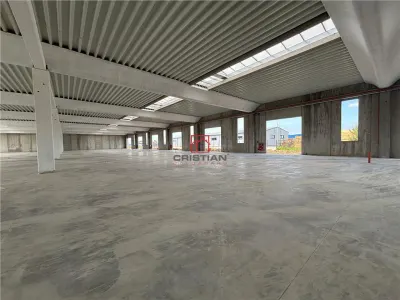 Vanzare depozit/spatiu industrial/hala Chitila - Rudeni, ILFOV - foto 20