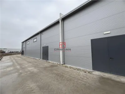Vanzare depozit/hala/spatiu industrial Chitila - Centura, ILFOV - foto 2