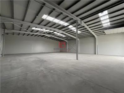 Vanzare depozit/hala/spatiu industrial Chitila - Chiajna - Rudeni, ILFOV - foto 3