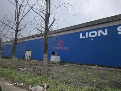 Vanzare spatiu industrial/hala/depozit Giurgiu - Port, Giurgiu - foto 6