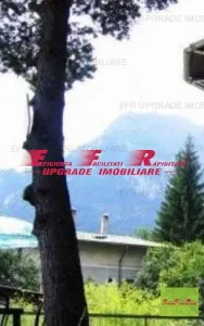 Teren centru (bulevard) Busteni - EFR Upgrade Imobiliare - Teren in centrul orasului Busteni - foto 7