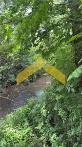 Teren intravilan 2.635 mp Savarsin ideal casa sau investitie - foto 3