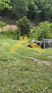 Teren intravilan 2.635 mp Savarsin ideal casa sau investitie - foto 4