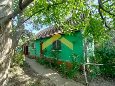 Casa de vanzare in Bodrogu Vechi - Bodrogu Vechi