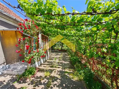 Casa la sol de vanzare in Vladimirescu - foto 2