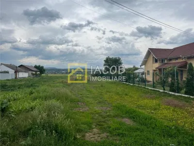 Teren intravilan Lilieci, Hemeius, Bacau - Lilieci