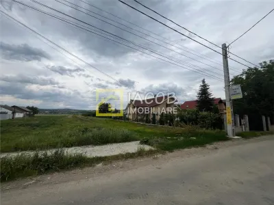 Teren intravilan Lilieci, Hemeius, Bacau - foto 4