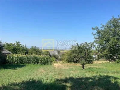 Teren 1541 mp sat comuna Buhoci str Prunului jud Bacau - foto 4