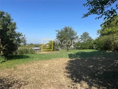 Teren 1541 mp sat comuna Buhoci str Prunului jud Bacau - foto 9