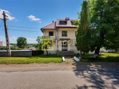 Pachet rural: apartament + bucatarie de vara + boxa+ 2.500 mp teren, Damienesti - Damienesti