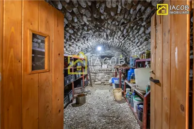 Casa, anexe, 3762 mp teren, 25000 mp padure, Comanesti, jud. Bacau - foto 20