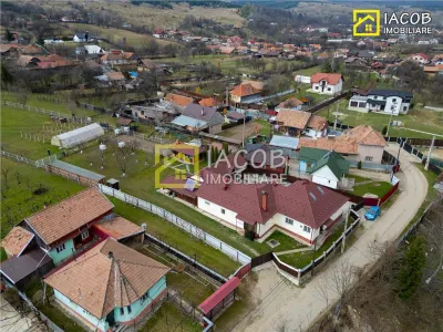 Casa, anexe, 3762 mp teren, 25000 mp padure, Comanesti, jud. Bacau - foto 4