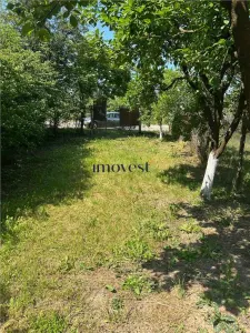 Teren de vanzare Bercu Rosu - Satu Mare