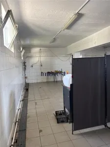 Hală Industrială Ideală Service Auto, Stație ITP, Producție, Depozitare  Zona Odoreului - foto 8