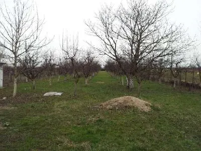 Terenuri  de vanzare - foto 3