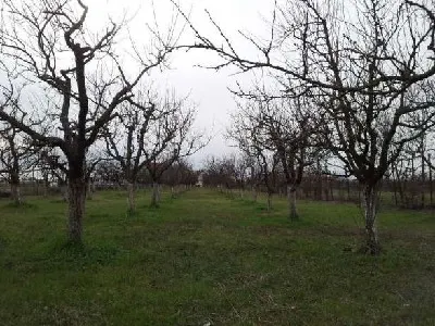 Terenuri  de vanzare - foto 5