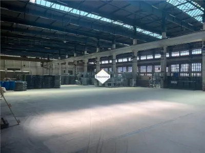 Hale industriale de inchiriere pana la 25 500 mp - foto 2