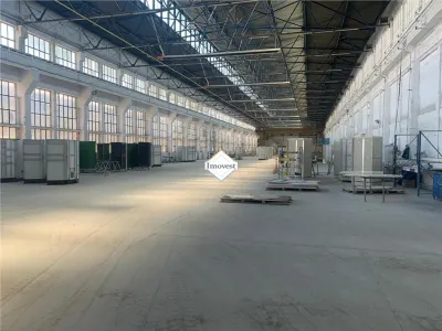 Hale industriale de inchiriere pana la 25 500 mp - foto 3