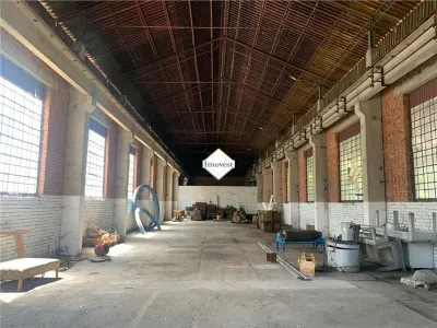 Hale industriale de inchiriere pana la 25 500 mp - foto 8