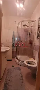 casa individuala potential afacere cartier Lazaret Sibiu - foto 8