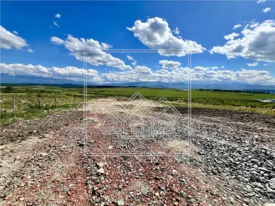 Teren extravilan de vanzare cu suprafata de 3100 mp in Daia - foto 5